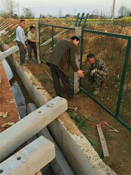 滬昆鐵路貴州段防護柵欄護欄網項目圖片2