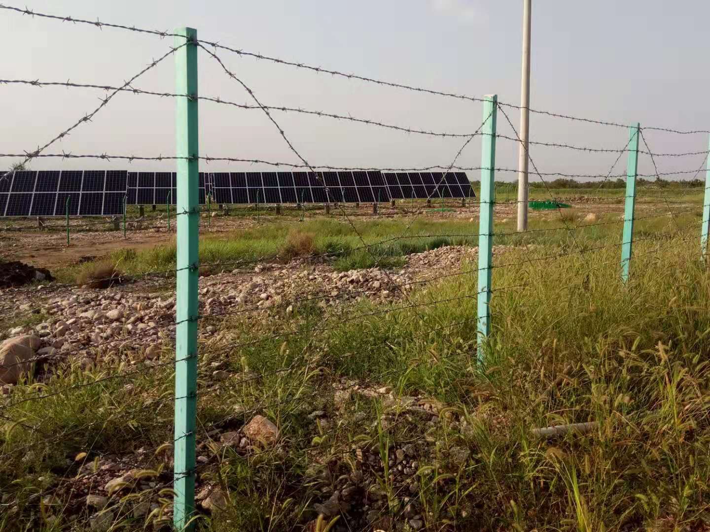 刺繩護欄網圖片4 刺繩護欄網圖片4