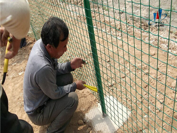 養殖圍欄網圖片1 養殖圍欄網圖片1